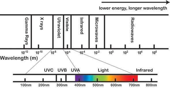 The wavelength of ultraviolet rays