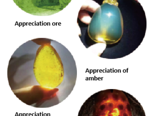 Application of Jade Identification Flashlight